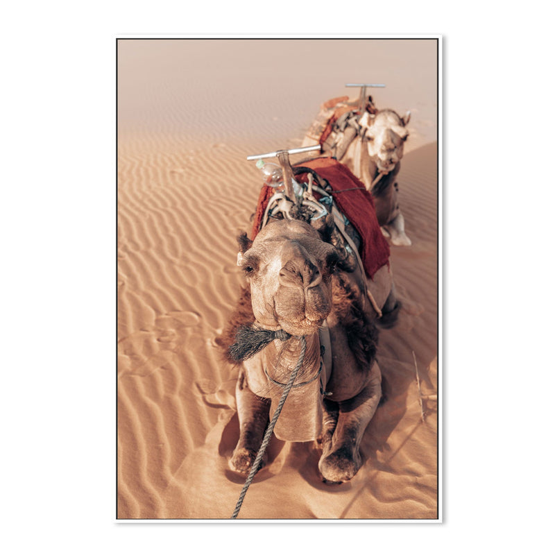 wall-art-print-canvas-poster-framed-Desert Companion , By Josh Silver-5