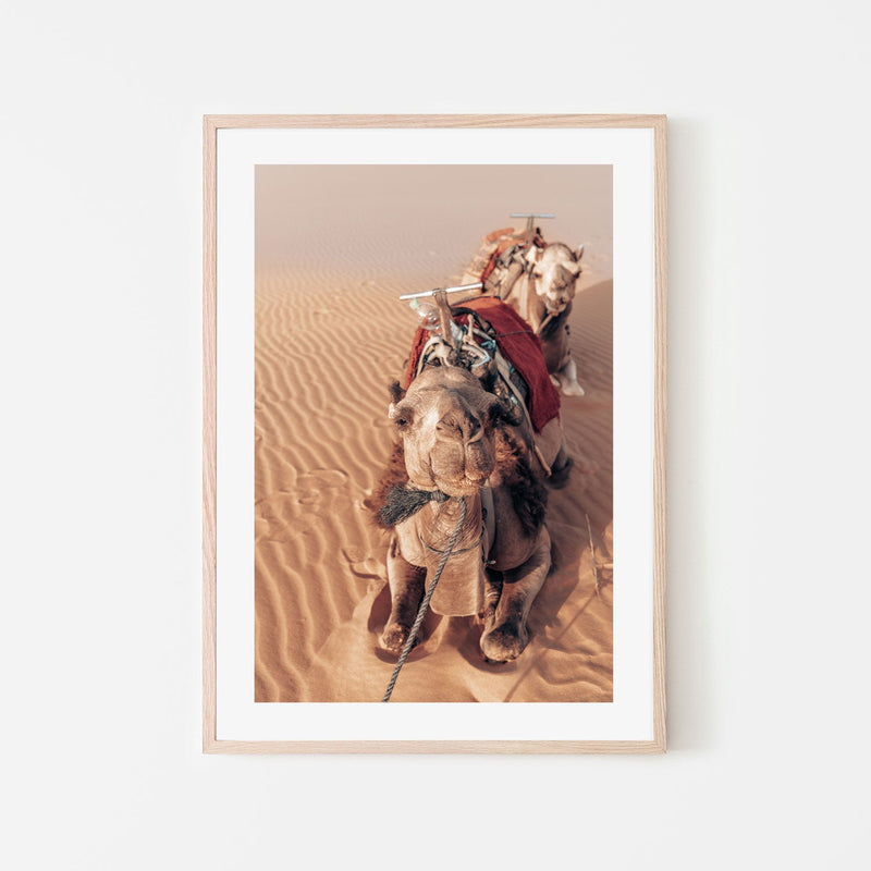 wall-art-print-canvas-poster-framed-Desert Companion , By Josh Silver-6
