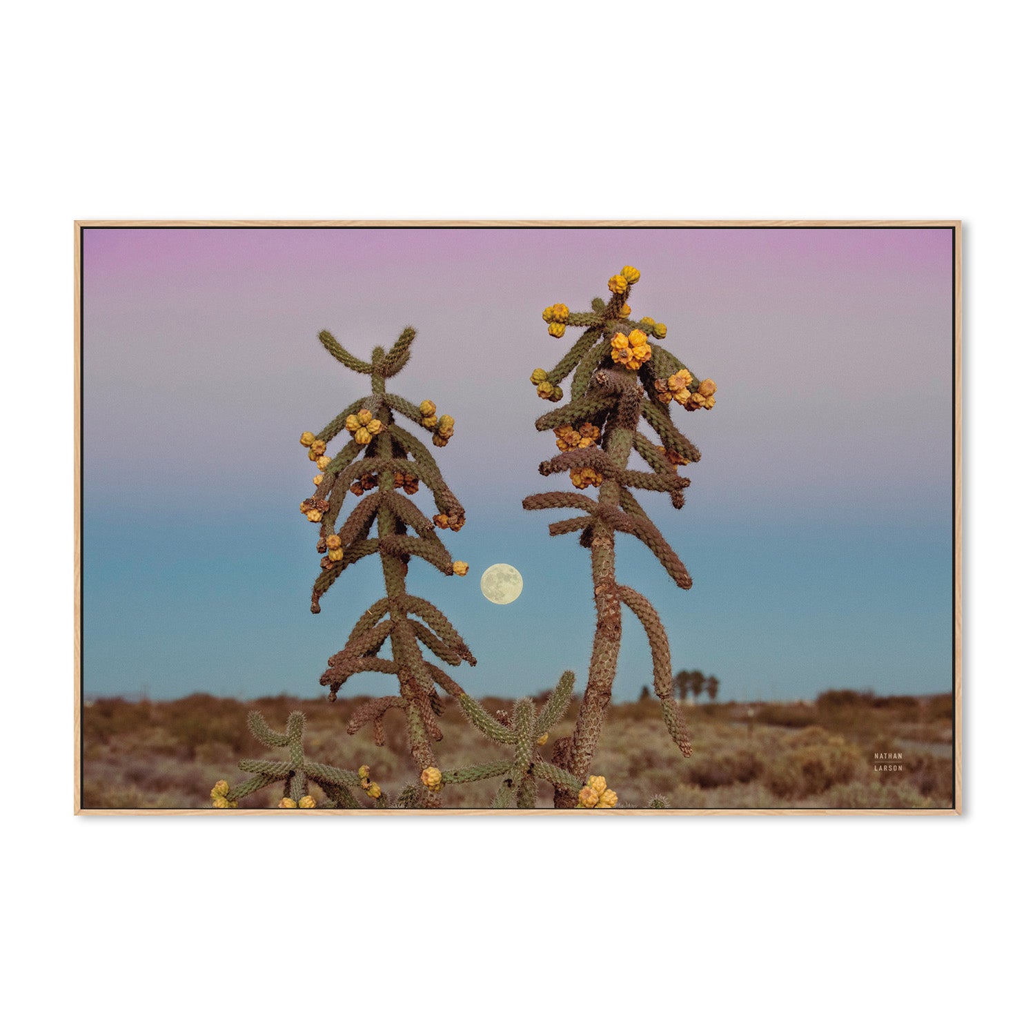 wall-art-print-canvas-poster-framed-Desert Moonrise-4