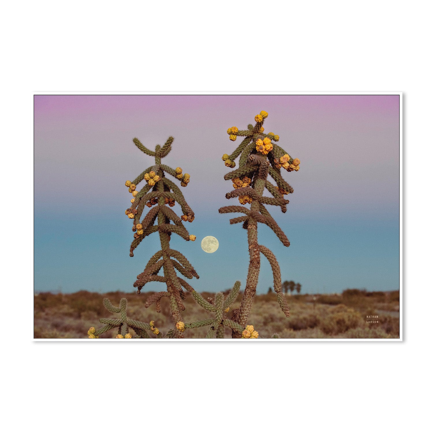wall-art-print-canvas-poster-framed-Desert Moonrise-5