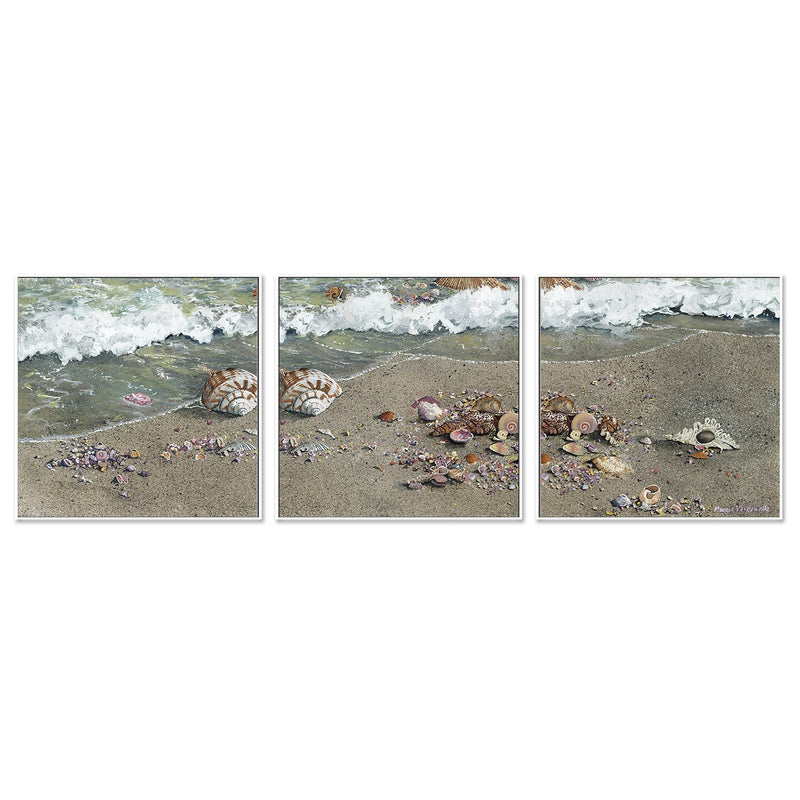 wall-art-print-canvas-poster-framed-Detritus, Style A, B & C, Set Of 3 , By Maggie Vandewalle-GIOIA-WALL-ART