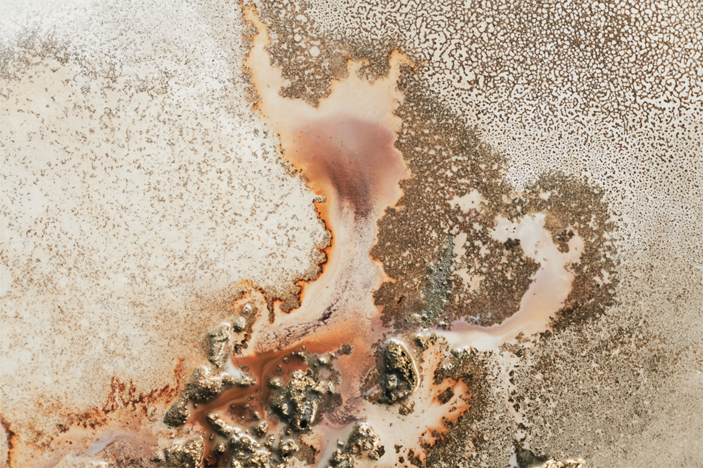 wall-art-print-canvas-poster-framed-Discovery , By Petra Meikle-1