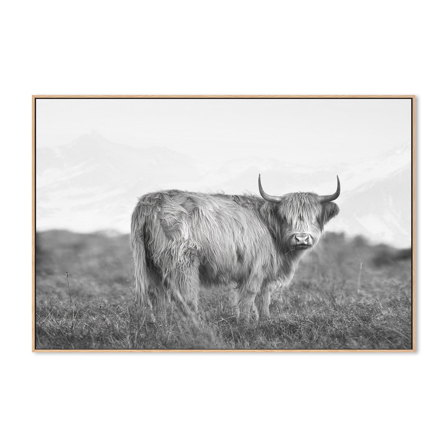 wall-art-print-canvas-poster-framed-Dixie, Style B , By Belinda Gerace-4