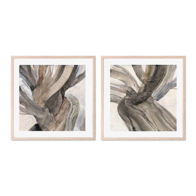wall-art-print-canvas-poster-framed-Driftwood, Style A & B, Set Of 2 , By Albena Hristova-GIOIA-WALL-ART