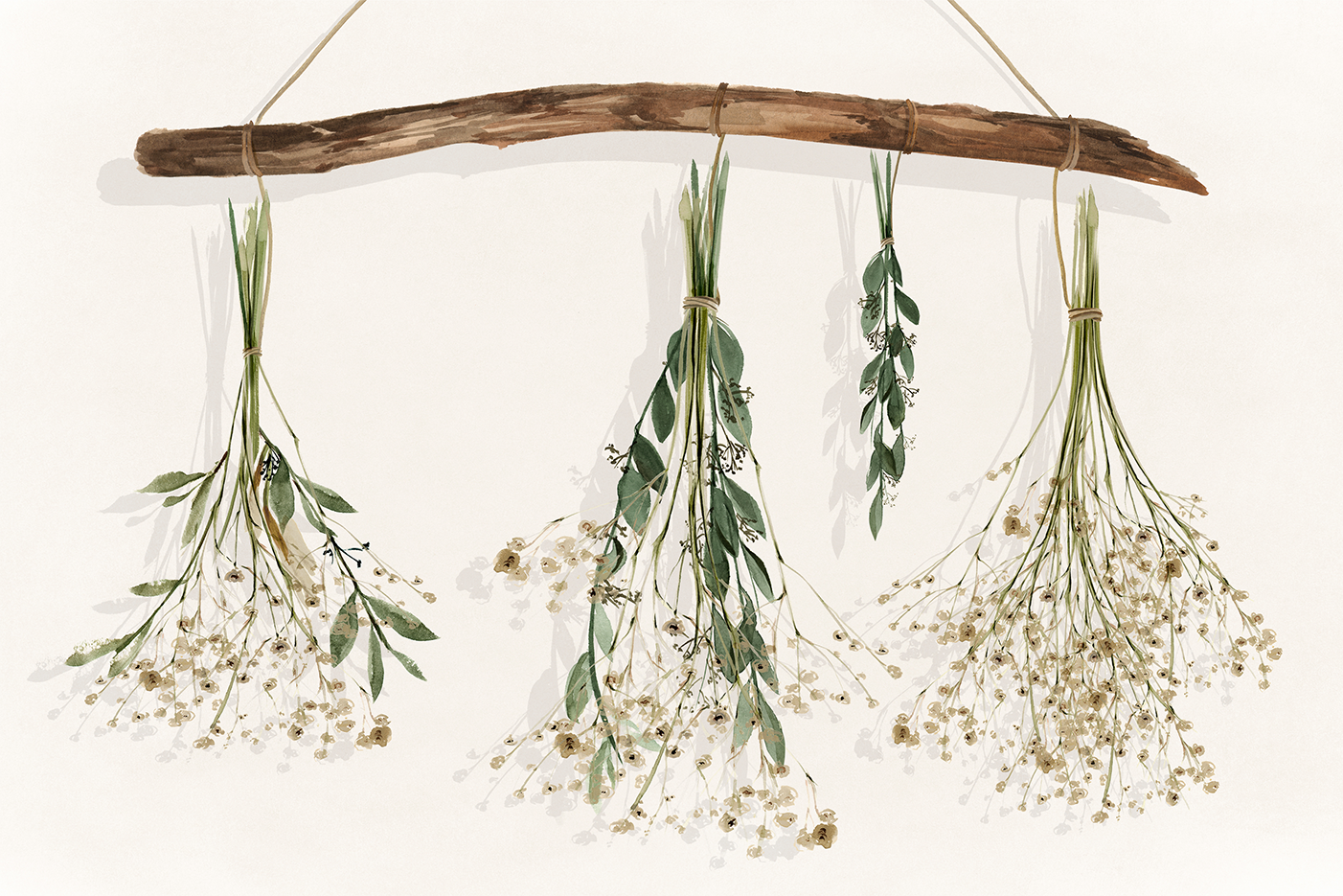 wall-art-print-canvas-poster-framed-Drying Flowers , By Isabelle Z-1