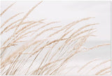 wall-art-print-canvas-poster-framed-Dune Grass By The Beach, Soft Tone-by-Gioia Wall Art-Gioia Wall Art