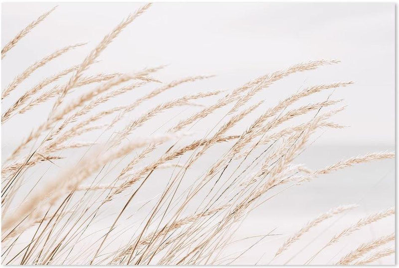 wall-art-print-canvas-poster-framed-Dune Grass By The Beach, Soft Tone-by-Gioia Wall Art-Gioia Wall Art