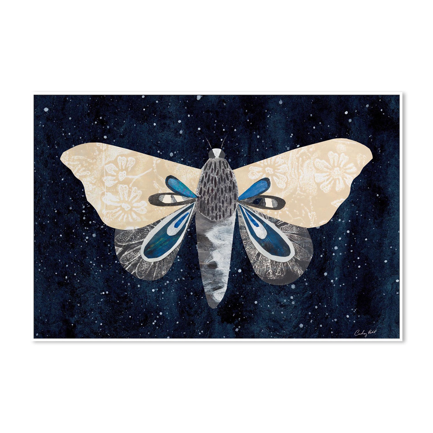 wall-art-print-canvas-poster-framed-Elegant Moth, Style A-5