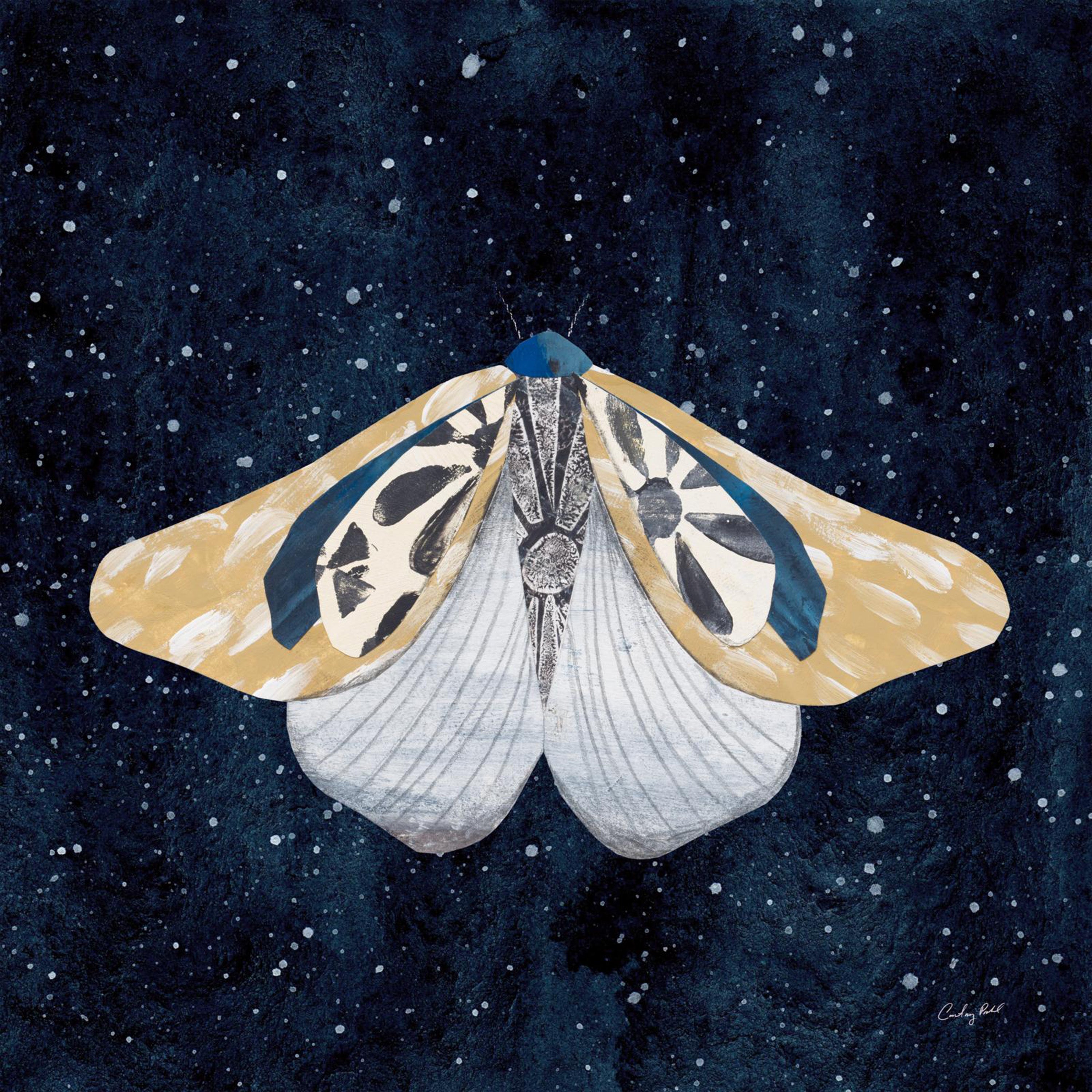 wall-art-print-canvas-poster-framed-Elegant Moth, Style B-1