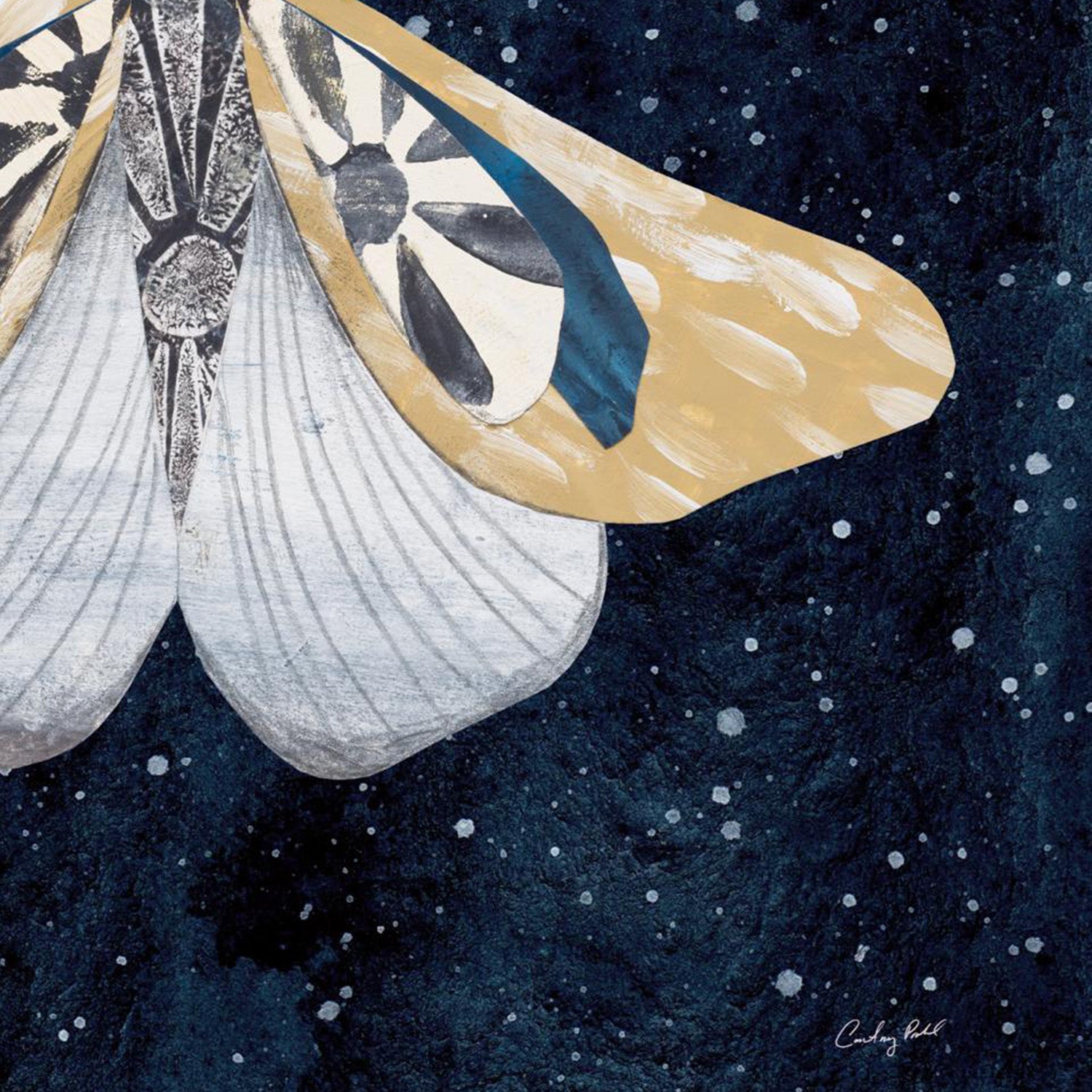 wall-art-print-canvas-poster-framed-Elegant Moth, Style B-11