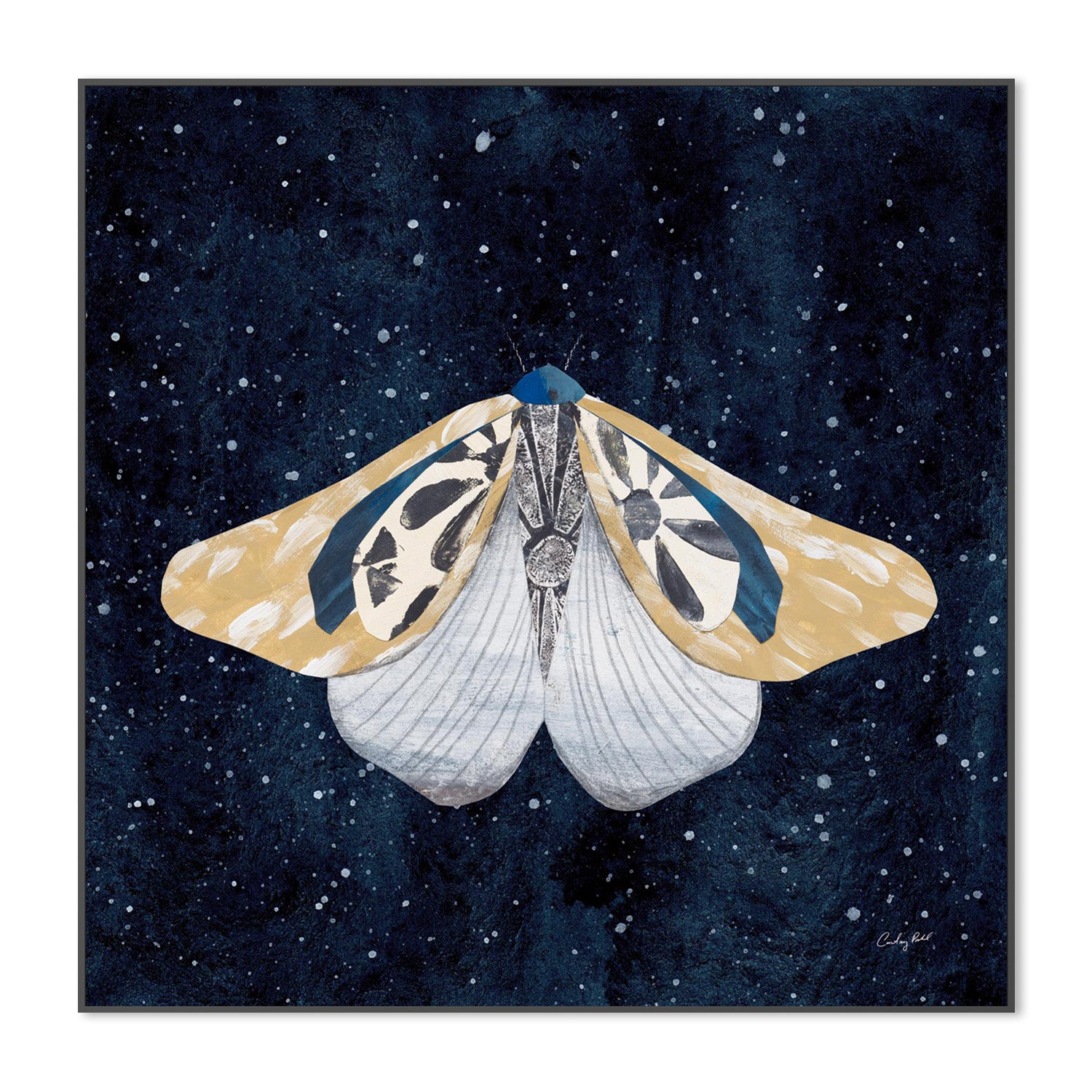 wall-art-print-canvas-poster-framed-Elegant Moth, Style B-3