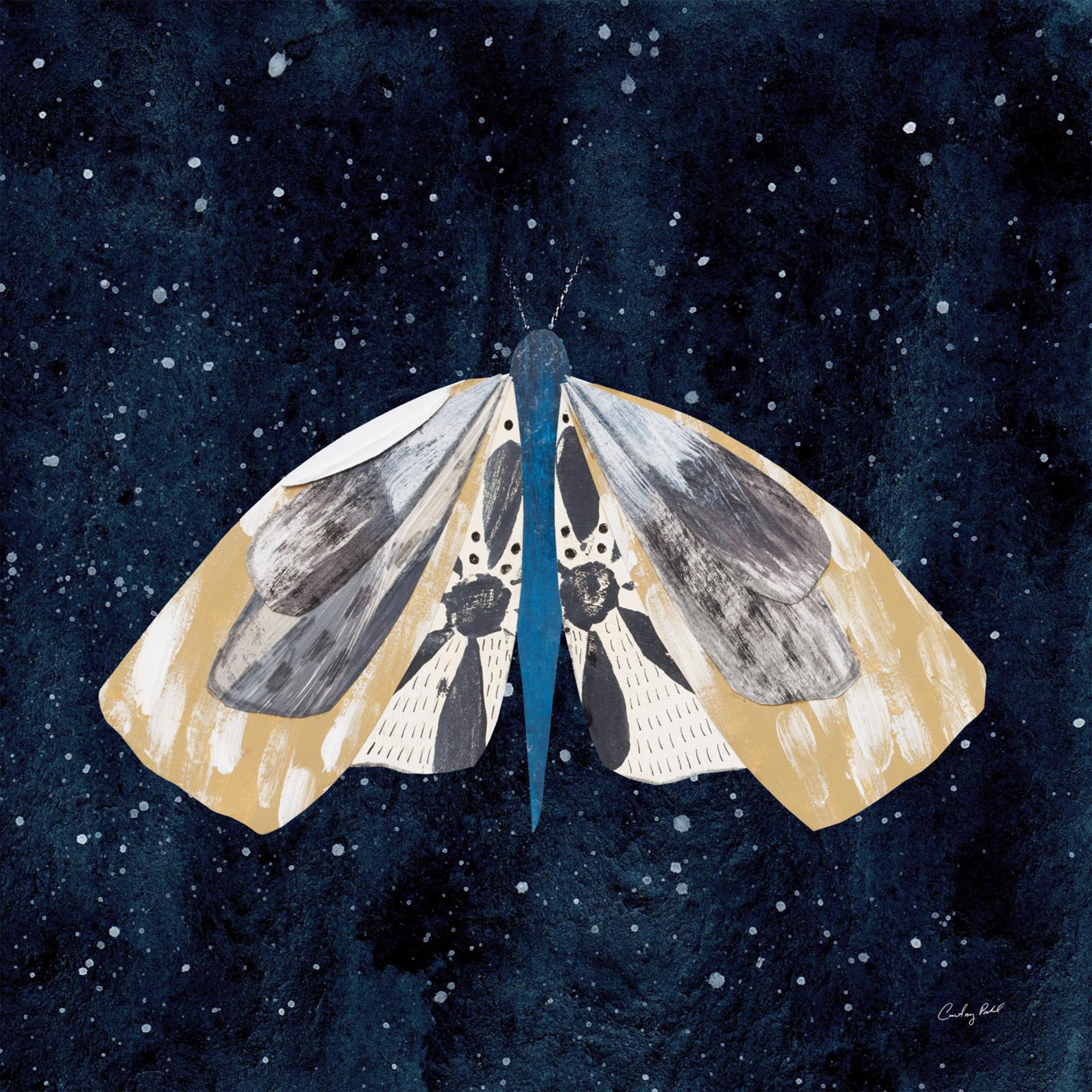 wall-art-print-canvas-poster-framed-Elegant Moth, Style C-1