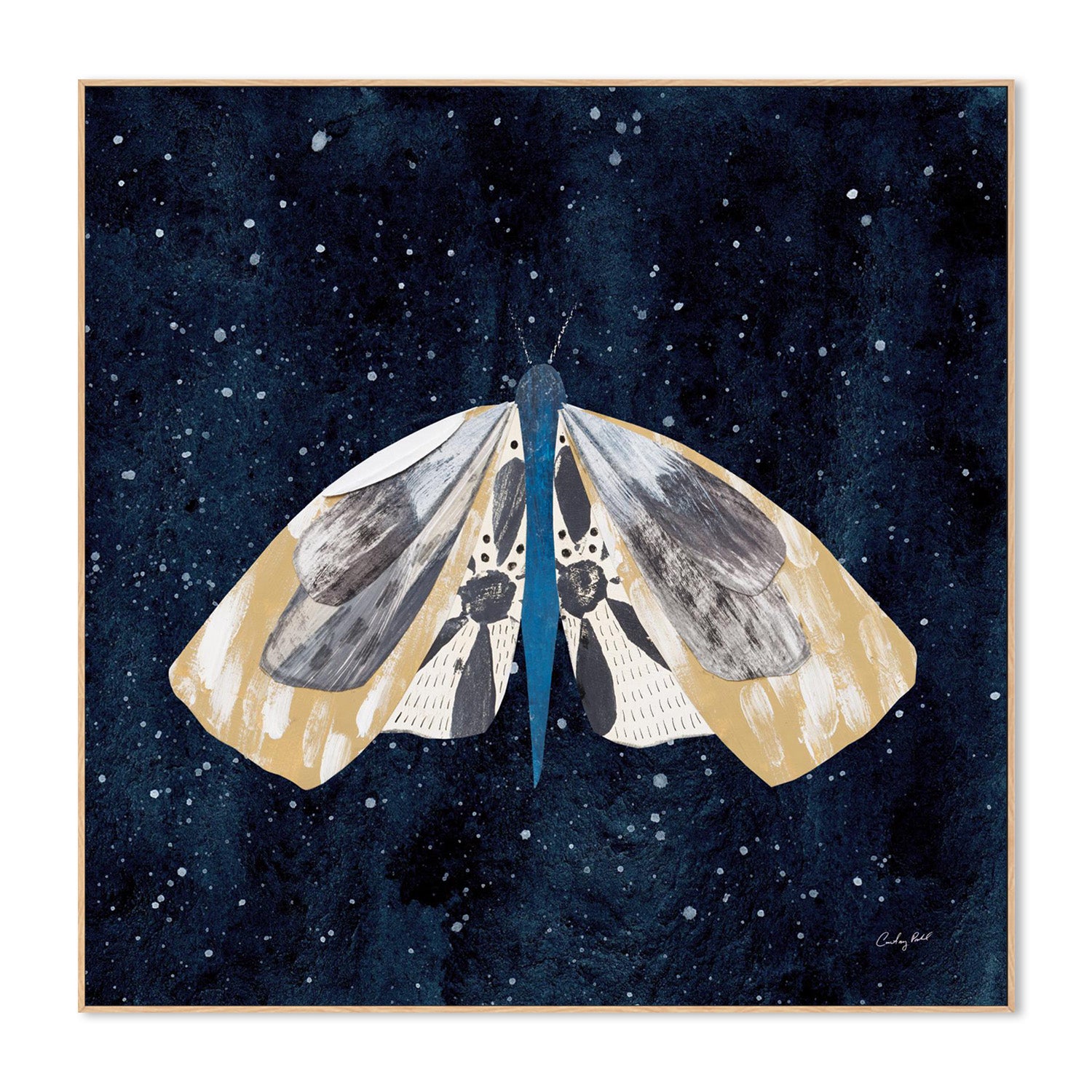wall-art-print-canvas-poster-framed-Elegant Moth, Style C-4