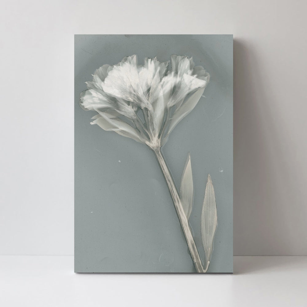 wall-art-print-canvas-poster-framed-Ethereal, Style B-by-Krista Mccurdy-Gioia Wall Art
