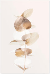wall-art-print-canvas-poster-framed-Eucalyptus Creative Gold, Style B-by-Plus X Studio-Gioia Wall Art