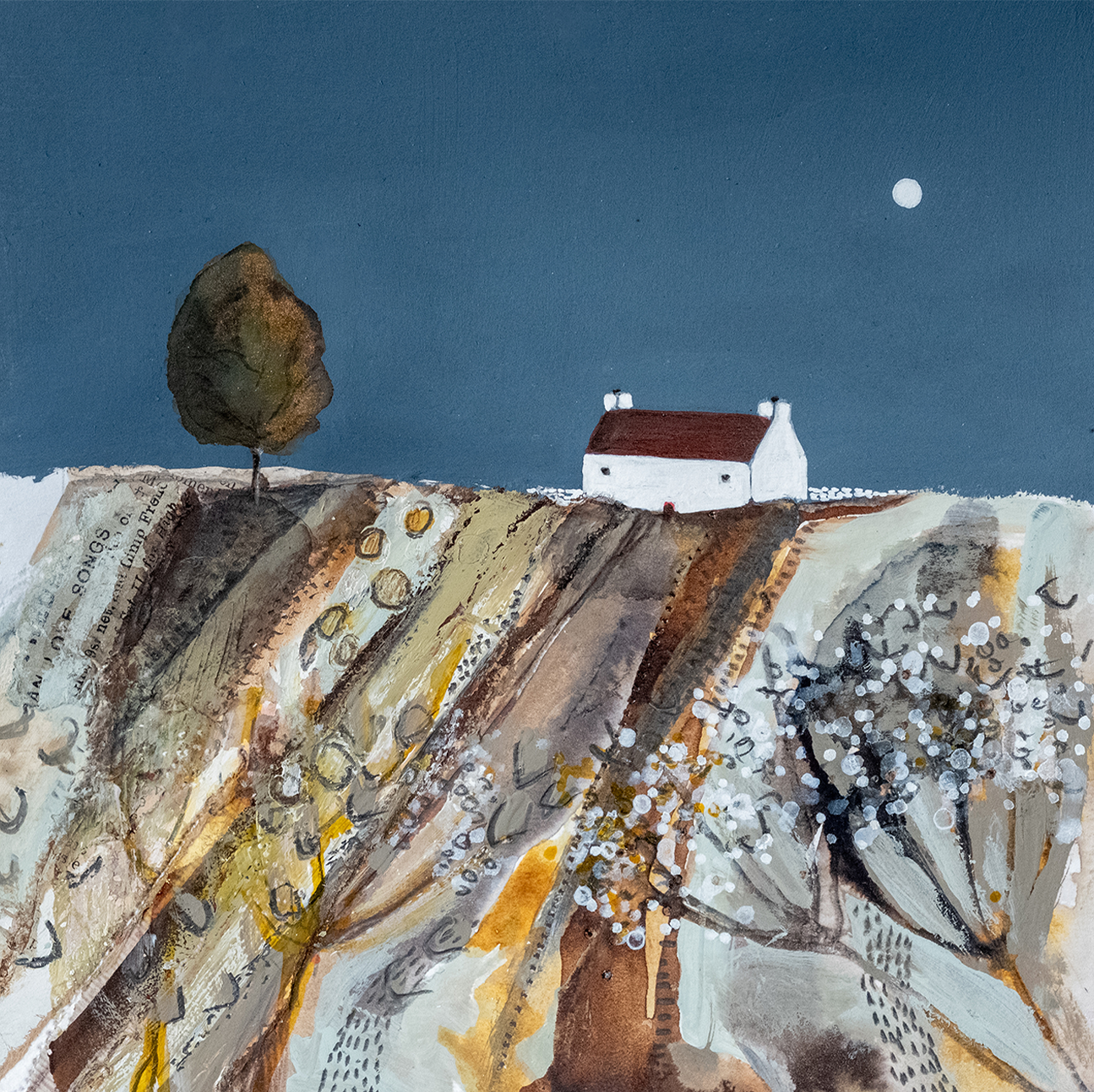 wall-art-print-canvas-poster-framed-Evening Light , By Louise O'Hara-1