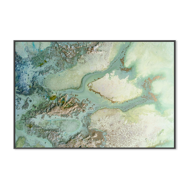 wall-art-print-canvas-poster-framed-Evergreen , By Petra Meikle-GIOIA-WALL-ART