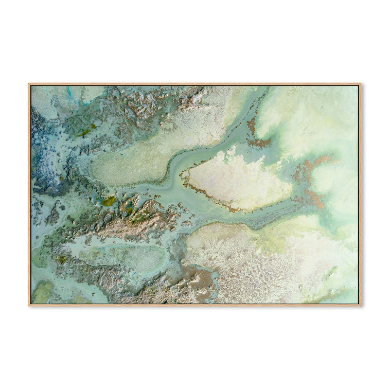 wall-art-print-canvas-poster-framed-Evergreen , By Petra Meikle-GIOIA-WALL-ART