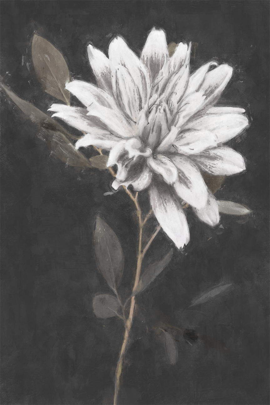 wall-art-print-canvas-poster-framed-Fable Lotus, Style B , By Nina Blue-1