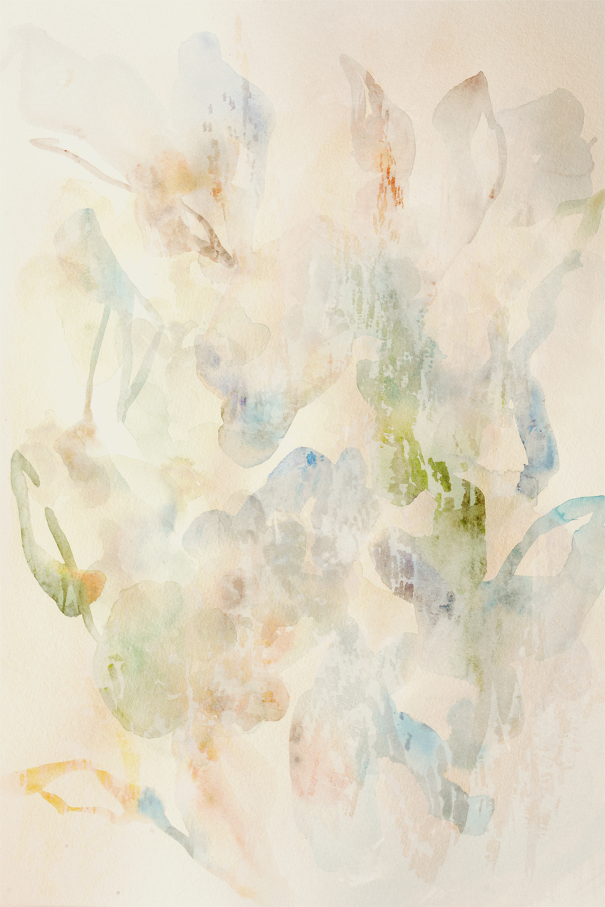 wall-art-print-canvas-poster-framed-Faded Floral , By Hope Bainbridge-1