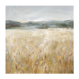wall-art-print-canvas-poster-framed-Field of Gold, Style B , By Wild Apple-1