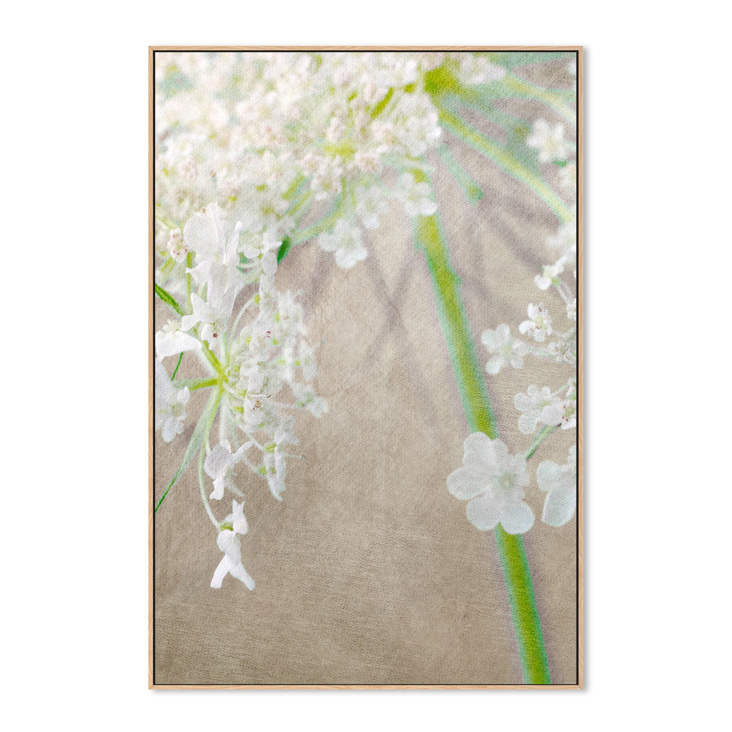 wall-art-print-canvas-poster-framed-First Prize , By Asia Jensen-4