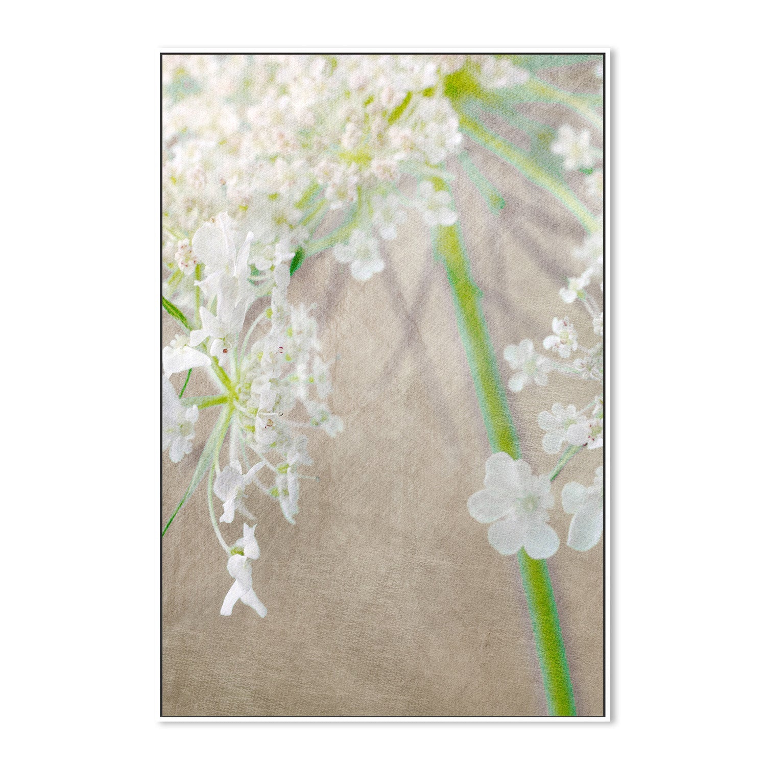 wall-art-print-canvas-poster-framed-First Prize , By Asia Jensen-5