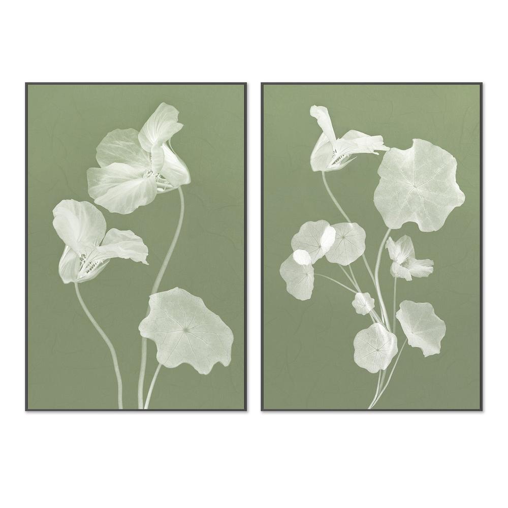 wall-art-print-canvas-poster-framed-Floral Dancer, Style A & B, Set Of 2 , By Leda Robertson-3