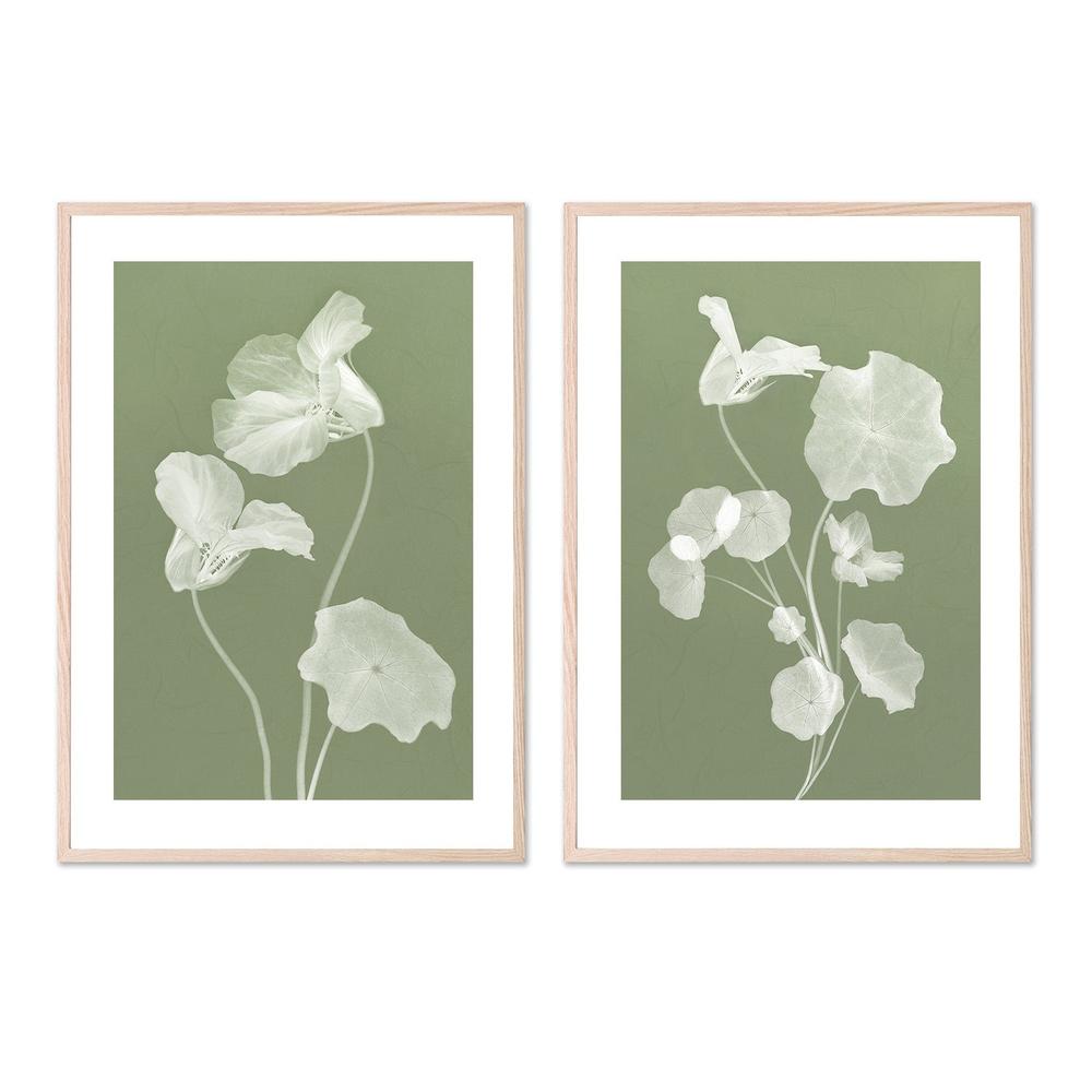 wall-art-print-canvas-poster-framed-Floral Dancer, Style A & B, Set Of 2 , By Leda Robertson-6