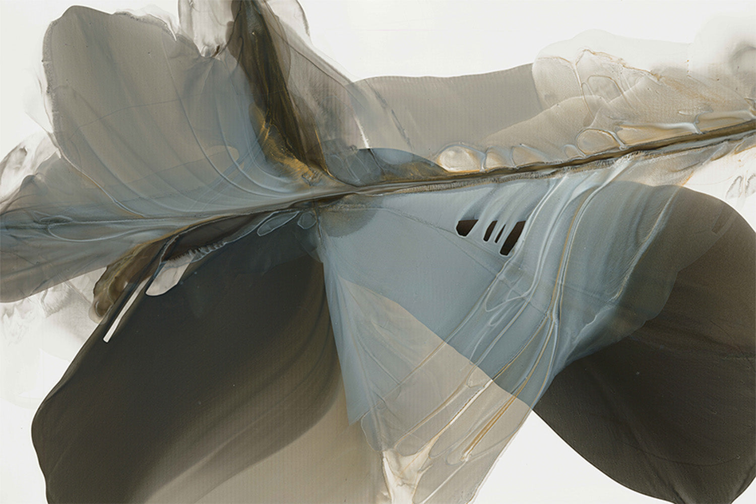 wall-art-print-canvas-poster-framed-Flowing Silhouette of Nature’s Grace-1