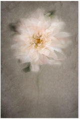 wall-art-print-canvas-poster-framed-For The Bride, by Cicek Kiral-by-Plus X Studio-Gioia Wall Art