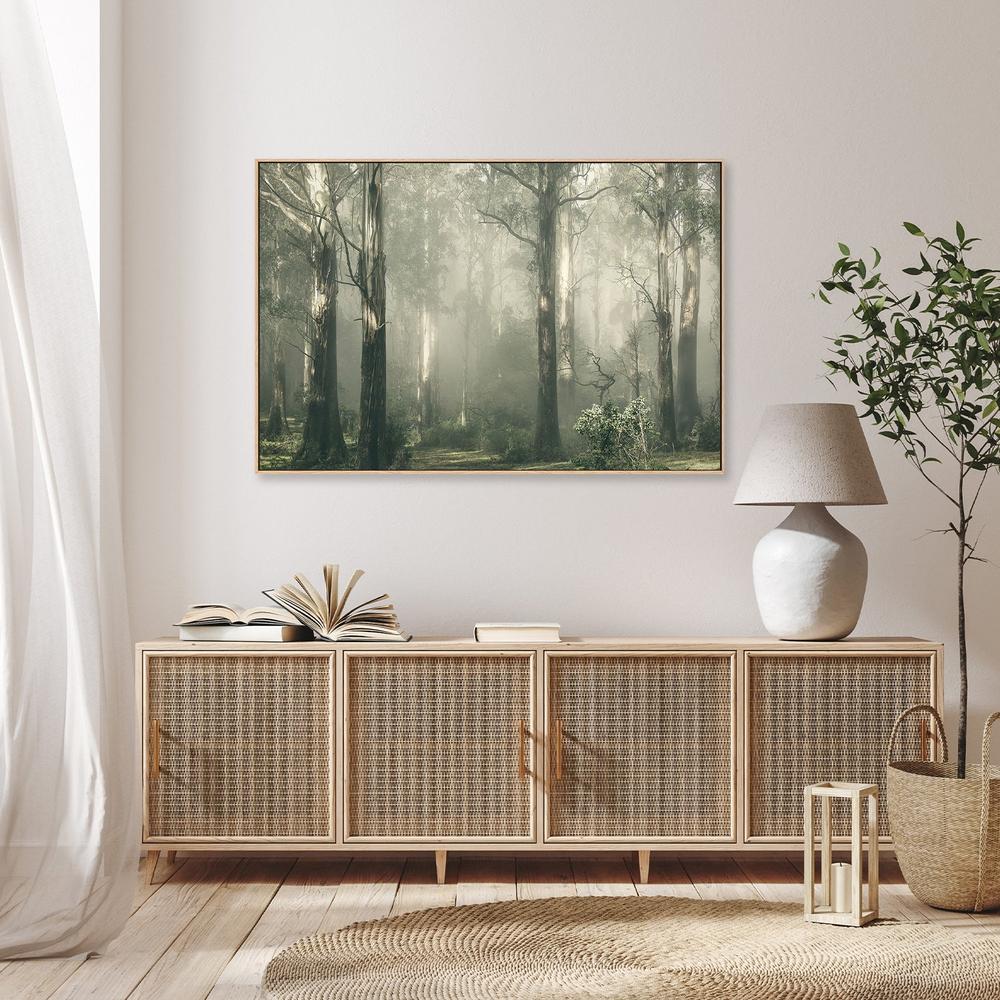 wall-art-print-canvas-poster-framed-Forest Gum Trees on a Foggy Day, Shroud , By Andrew Paranavitana-8
