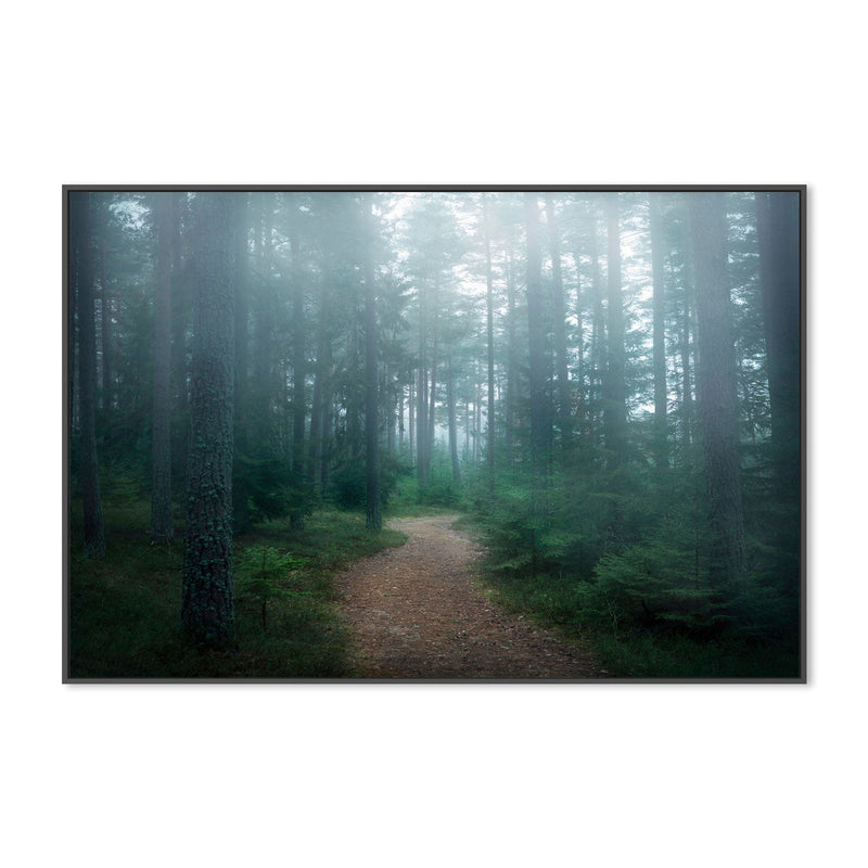wall-art-print-canvas-poster-framed-Forest Of Secrets , By Christian Lindsten-GIOIA-WALL-ART