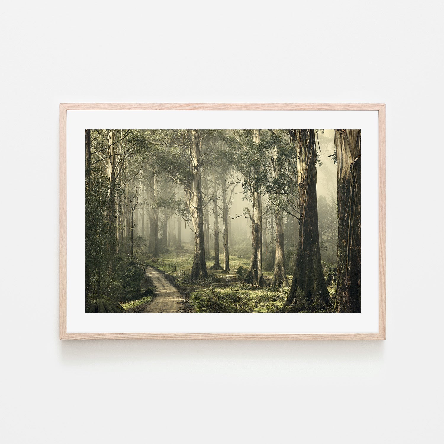 wall-art-print-canvas-poster-framed-Forest on a Foggy Day, Silently Still , By Andrew Paranavitana-7