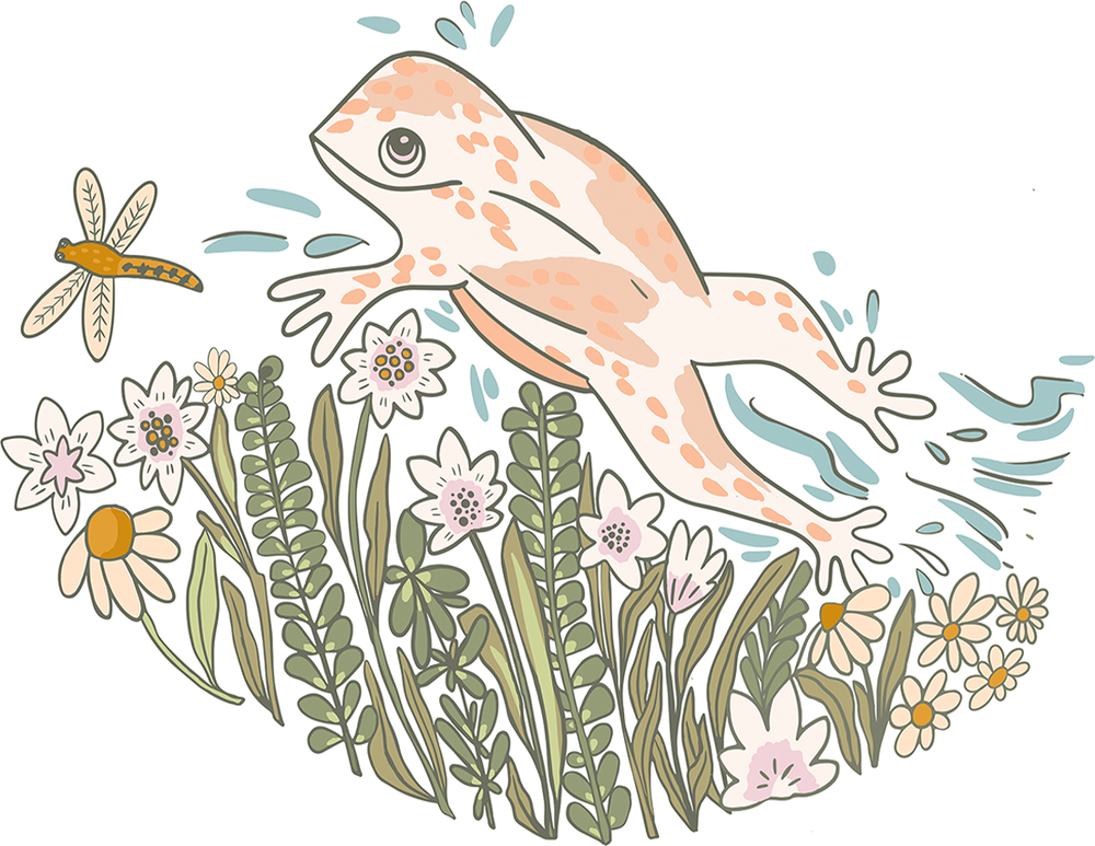 wall-art-print-canvas-poster-framed-Frog , By Nikita Jariwala-1