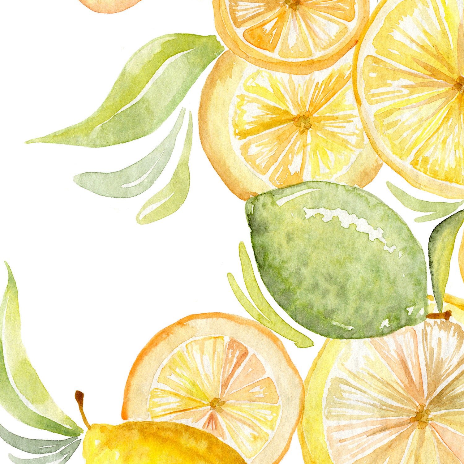 wall-art-print-canvas-poster-framed-Fruit collection - lemon & Limes-10