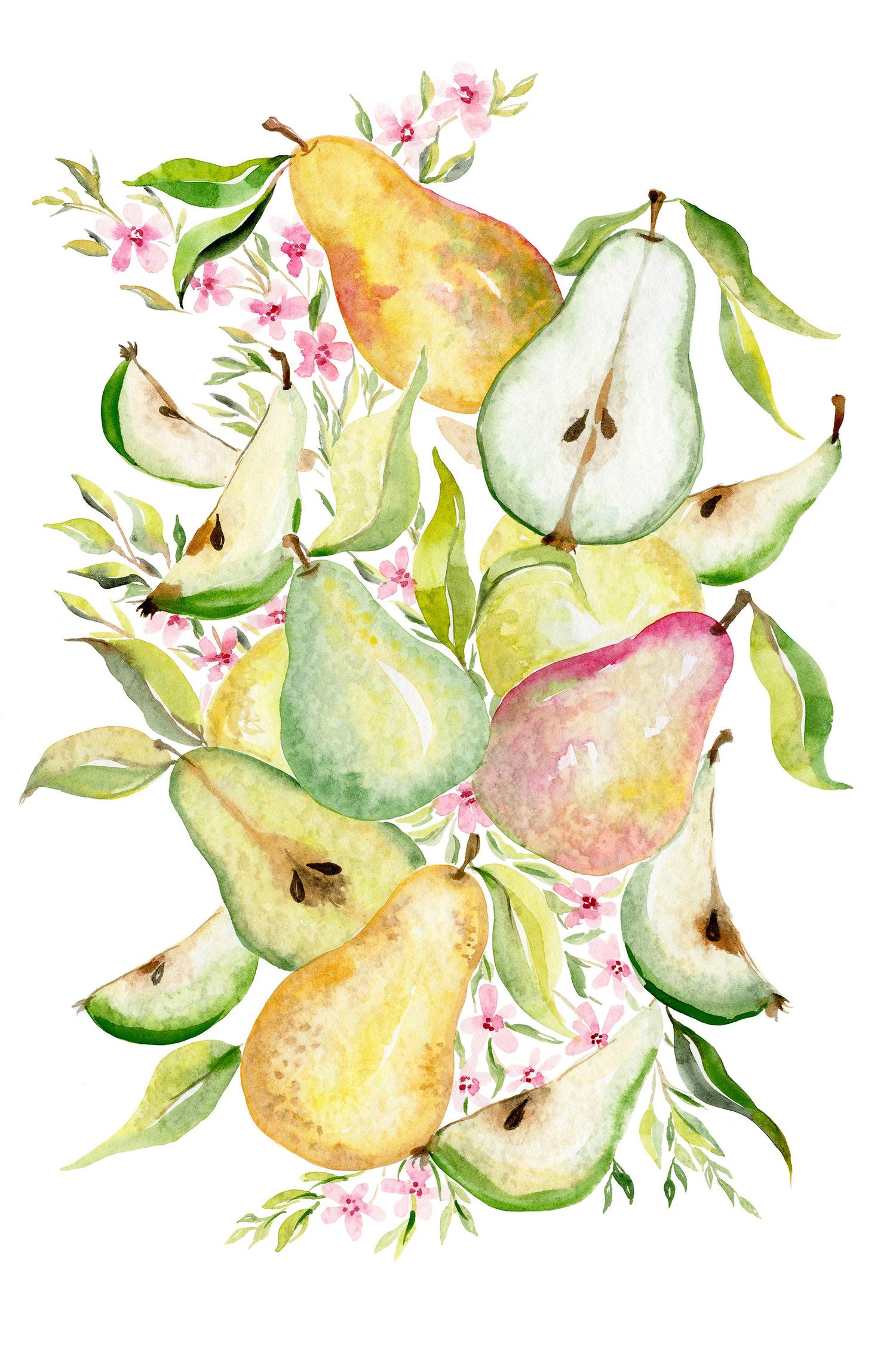 wall-art-print-canvas-poster-framed-Fruit collection - Pears-1