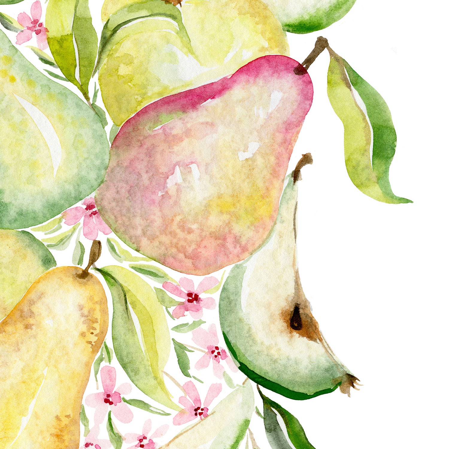 wall-art-print-canvas-poster-framed-Fruit collection - Pears-10