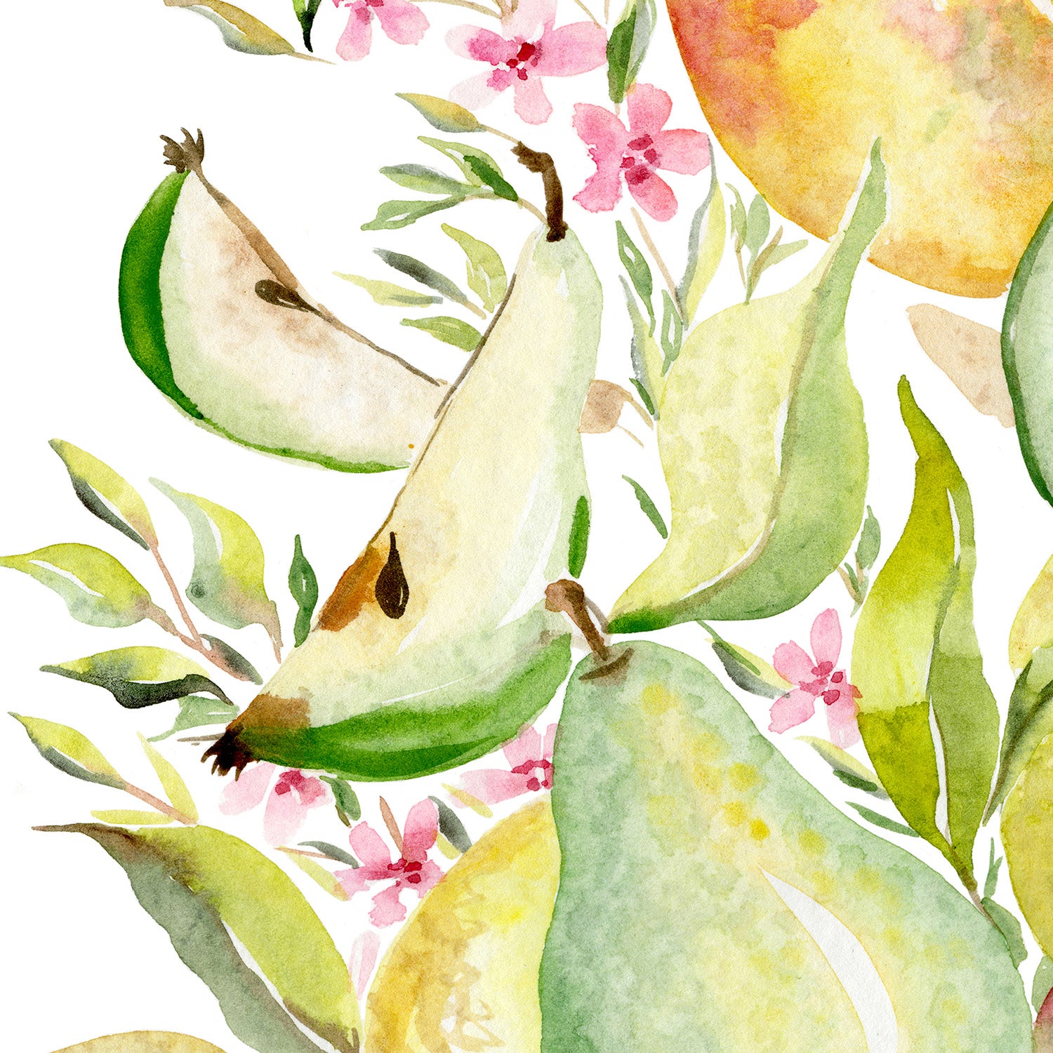 wall-art-print-canvas-poster-framed-Fruit collection - Pears-11