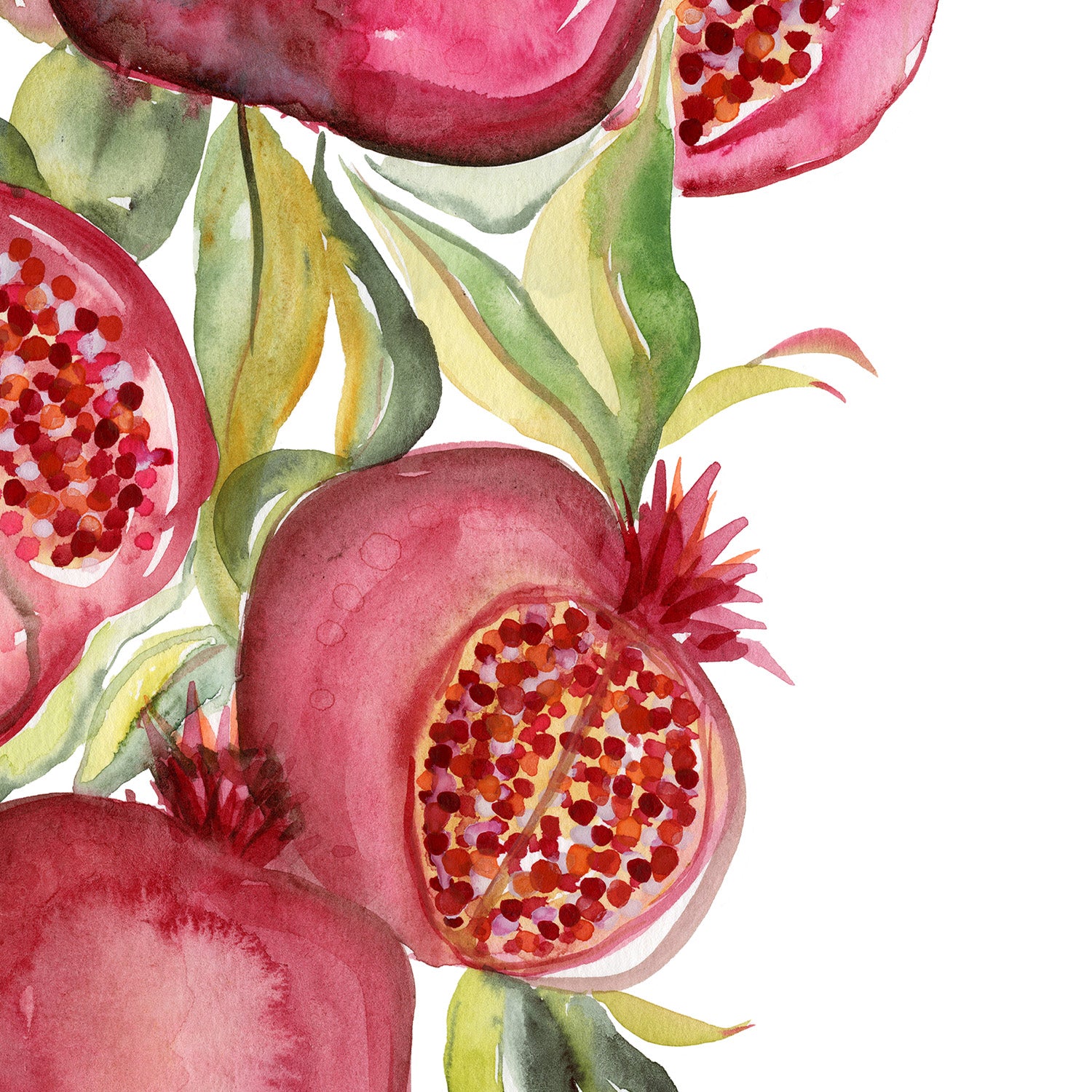 wall-art-print-canvas-poster-framed-Fruit collection - Pomegranate-10
