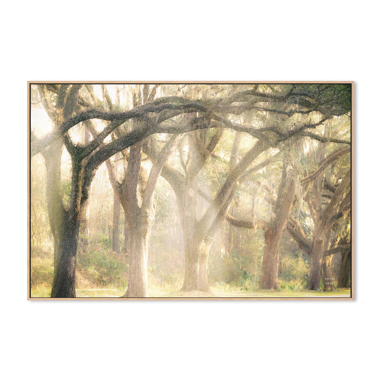 wall-art-print-canvas-poster-framed-Georgia Rays-4