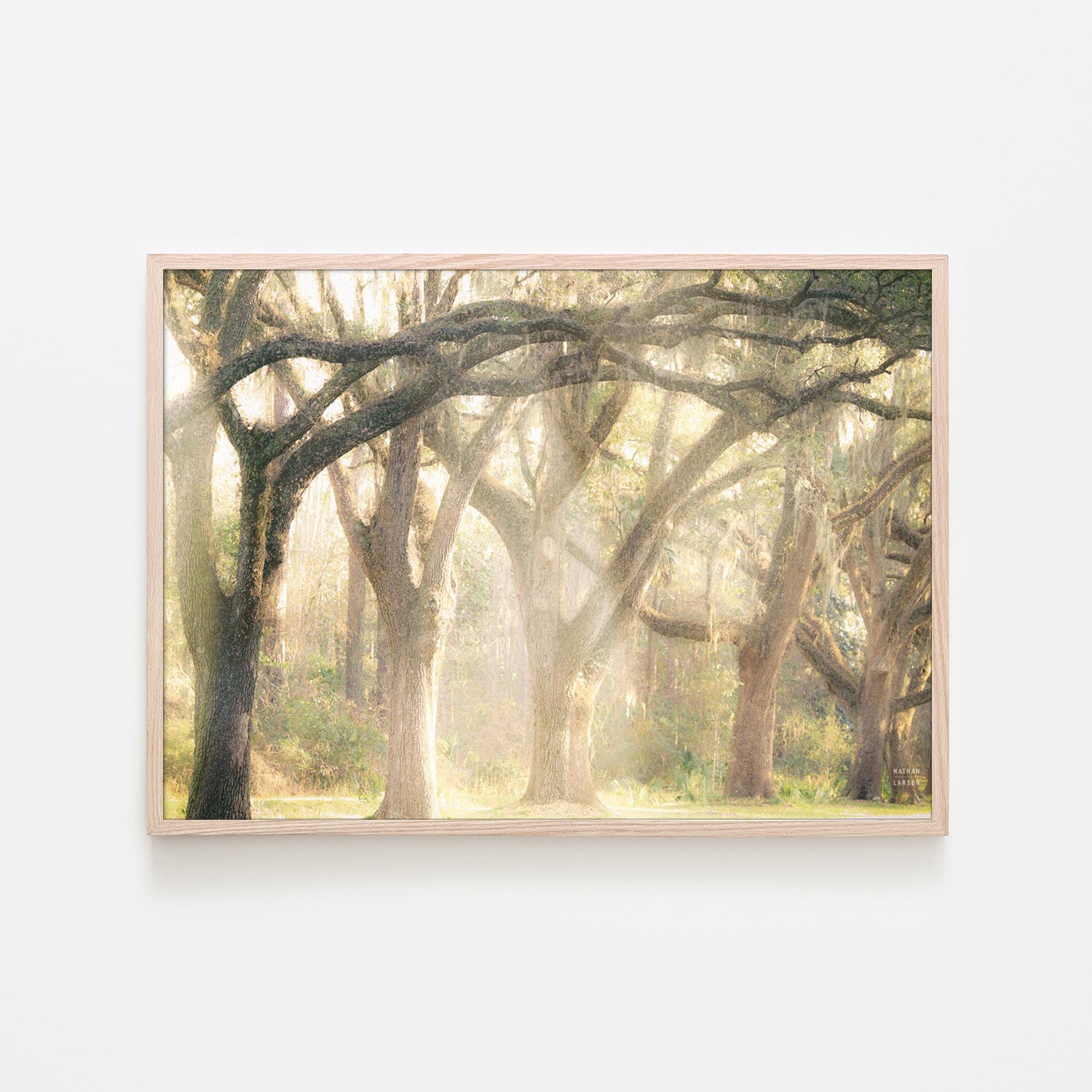 wall-art-print-canvas-poster-framed-Georgia Rays-6