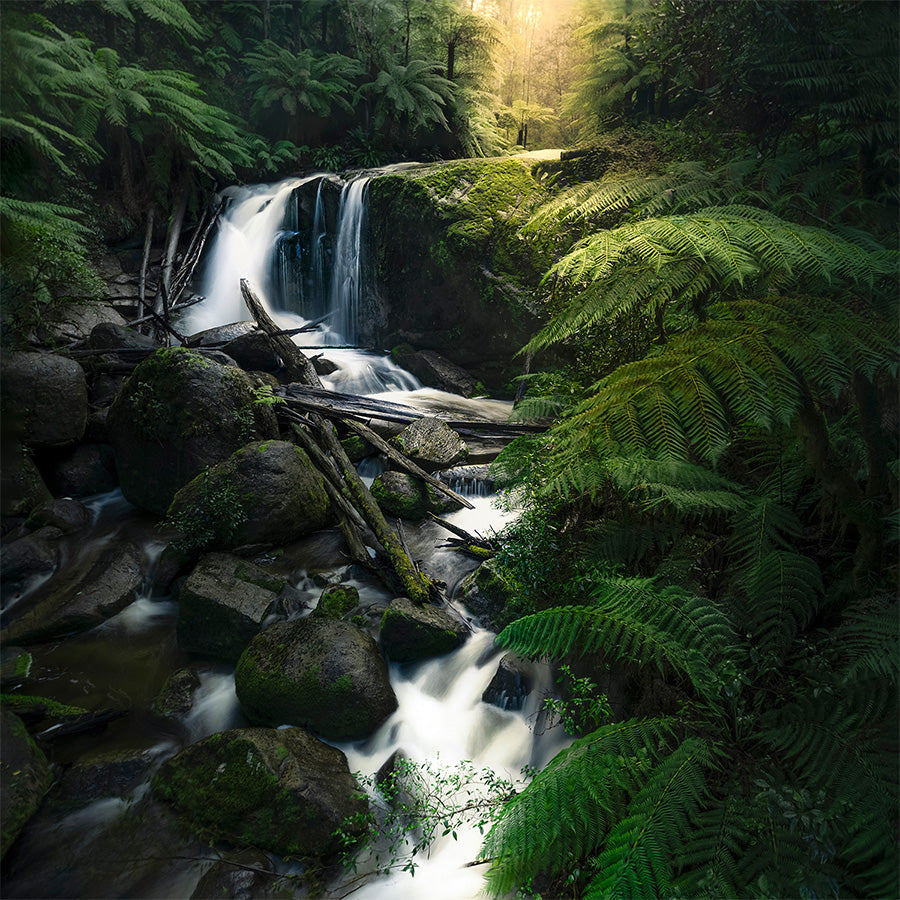 wall-art-print-canvas-poster-framed-Gippsland waterfalls (Melbourne)-1