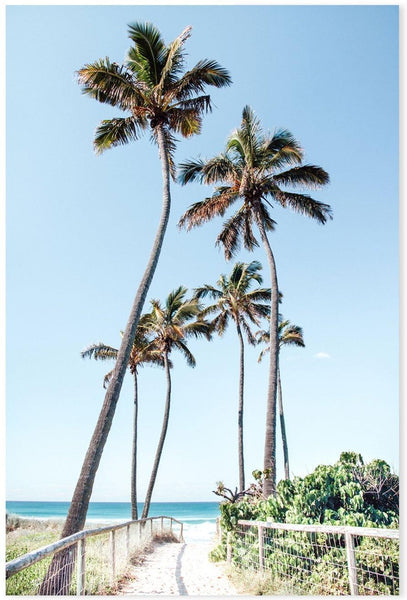 Gold Coast Palms, Main Beach, Queensland, By Kellie Morris,Wall Art