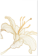 wall-art-print-canvas-poster-framed-Gold Lily, Style C-GIOIA-WALL-ART
