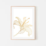 wall-art-print-canvas-poster-framed-Gold Lily, Style C-GIOIA-WALL-ART