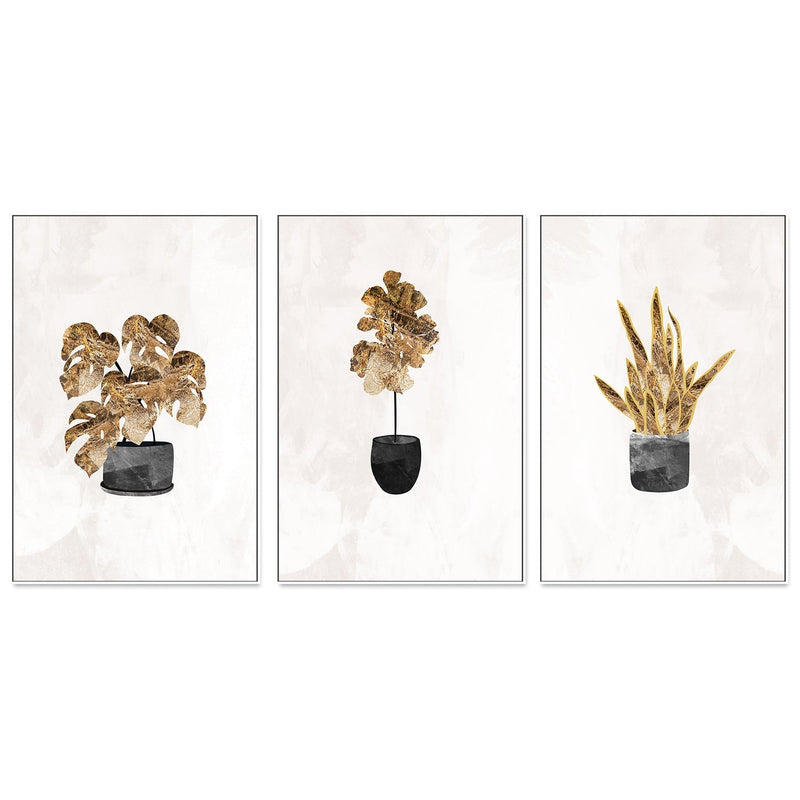wall-art-print-canvas-poster-framed-Gold Plants, Set Of 3 , By Sarah Manovski-GIOIA-WALL-ART