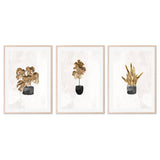wall-art-print-canvas-poster-framed-Gold Plants, Set Of 3 , By Sarah Manovski-GIOIA-WALL-ART