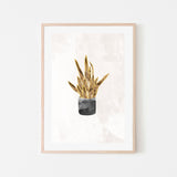 wall-art-print-canvas-poster-framed-Gold Snake Plant , By Sarah Manovski-GIOIA-WALL-ART