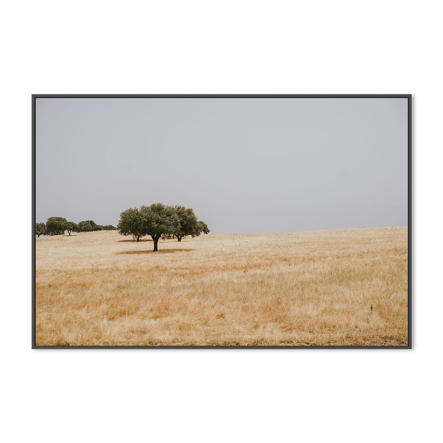 wall-art-print-canvas-poster-framed-Golden Landscape , By Hello Twiggs-3